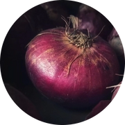 Synocell